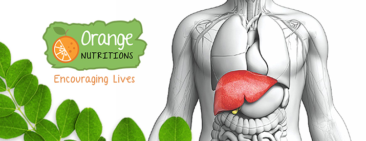 moringa benefits for liver